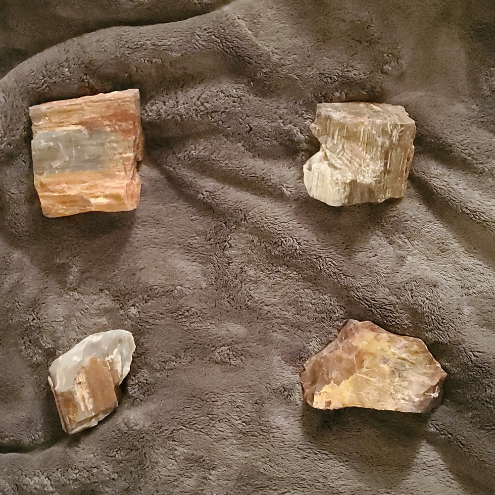 Large/ medium petrified wood